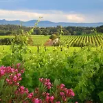 Chateau Maravenne