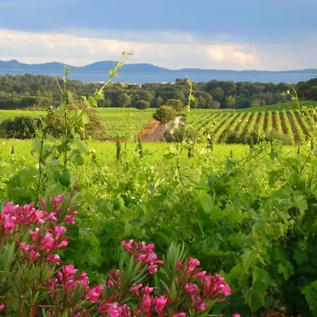 Chateau Maravenne * La Londe-les-Maures