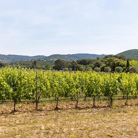 Chateau Maravenne 3*