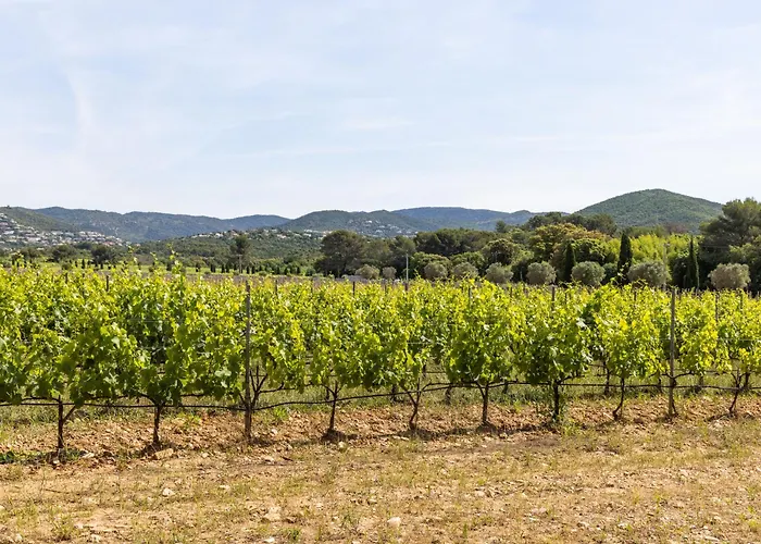 Chateau Maravenne 3*
